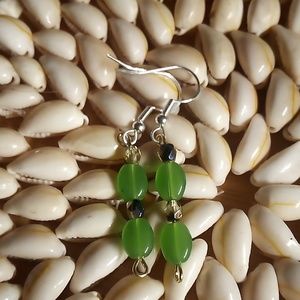 Alaskan hand made earrings